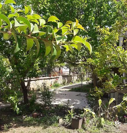 Sunny Fethiye